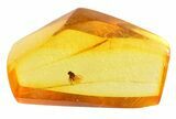 Detailed Fossil Fly (Diptera) In Baltic Amber #45148-3